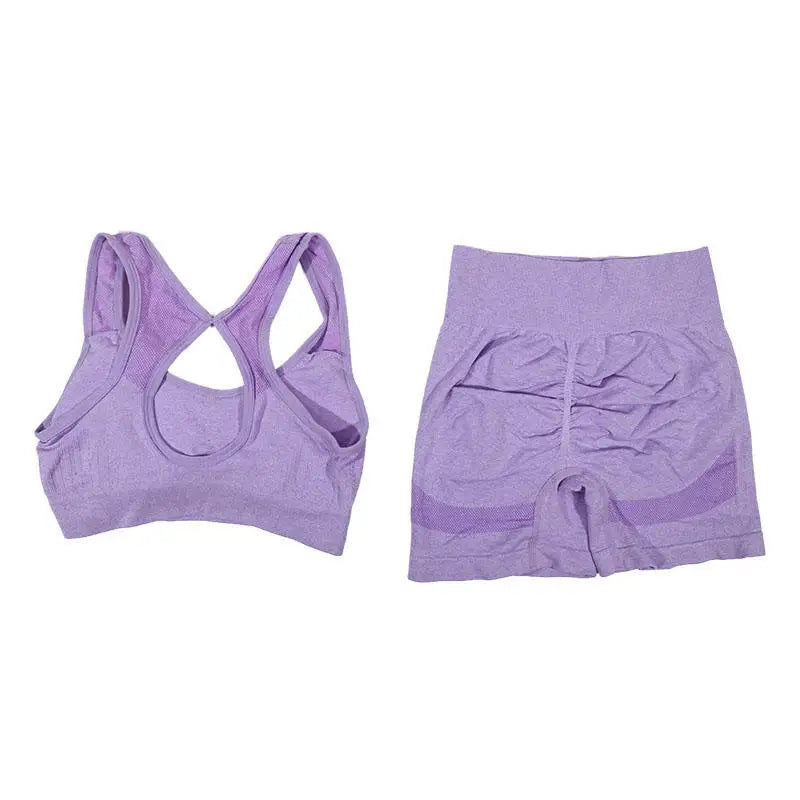 Women Yoga Set Sports Bra Top Workout Shorts Fitness Vest Running Gym Outfit Seamless Breathable Activewear