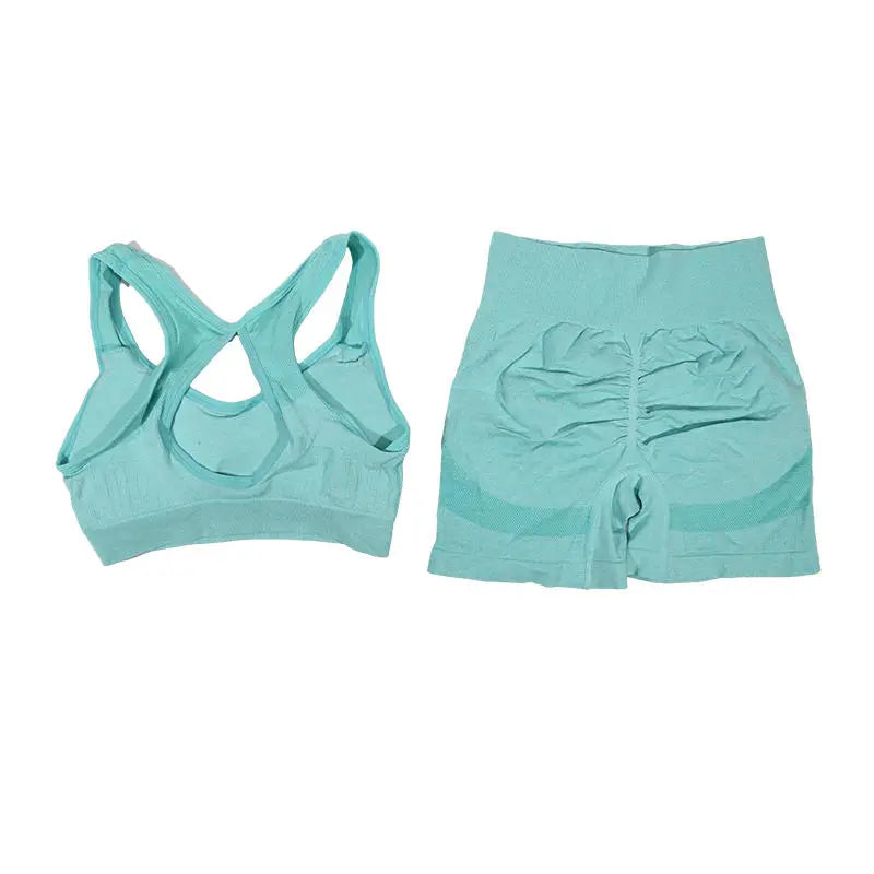 Women Yoga Set Sports Bra Top Workout Shorts Fitness Vest Running Gym Outfit Seamless Breathable Activewear