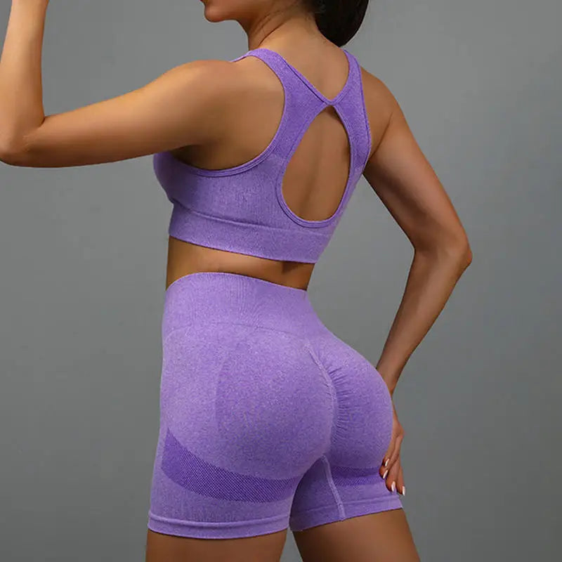 Women Yoga Set Sports Bra Top Workout Shorts Fitness Vest Running Gym Outfit Seamless Breathable Activewear