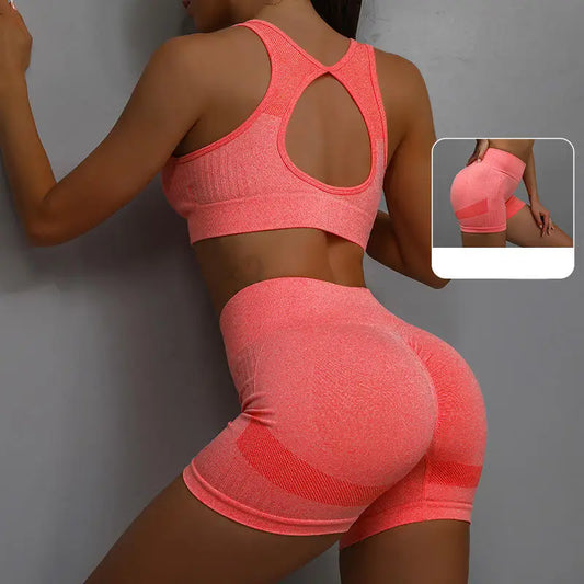 Women Yoga Set Sports Bra Top Workout Shorts Fitness Vest Running Gym Outfit Seamless Breathable Activewear
